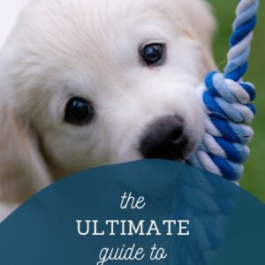 The Ultimate Guide to Calm Dog Behaviour (eBook)